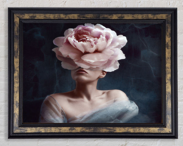 The Pink Flower Head Framed Print