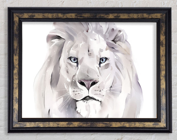 The Grey Lion Framed Print
