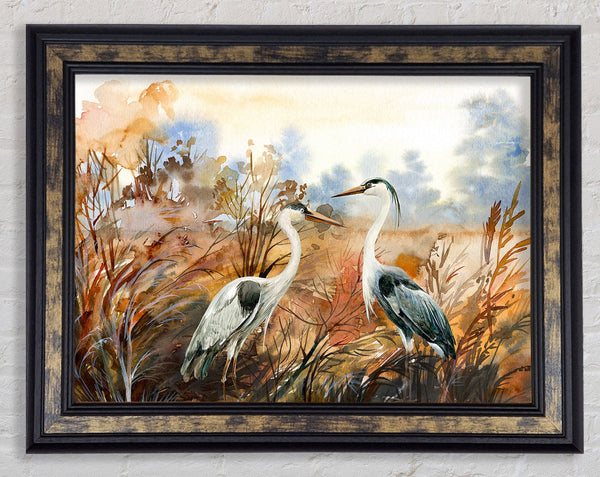 Herons In The Pond Framed Print