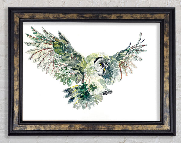 The Forest Owl Framed Print