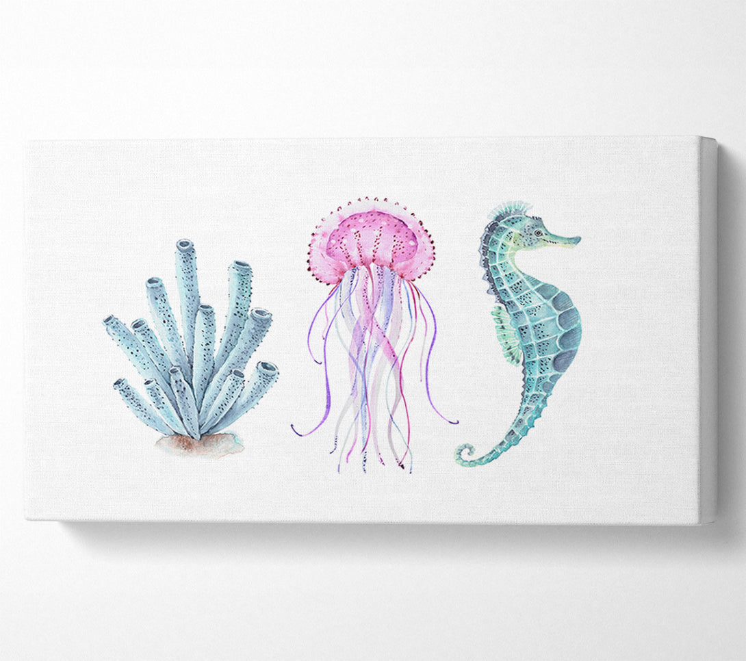  A Canvas Print of Seahorse Watercolour Canvas Print