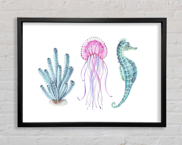 Seahorse Watercolour Framed Print
