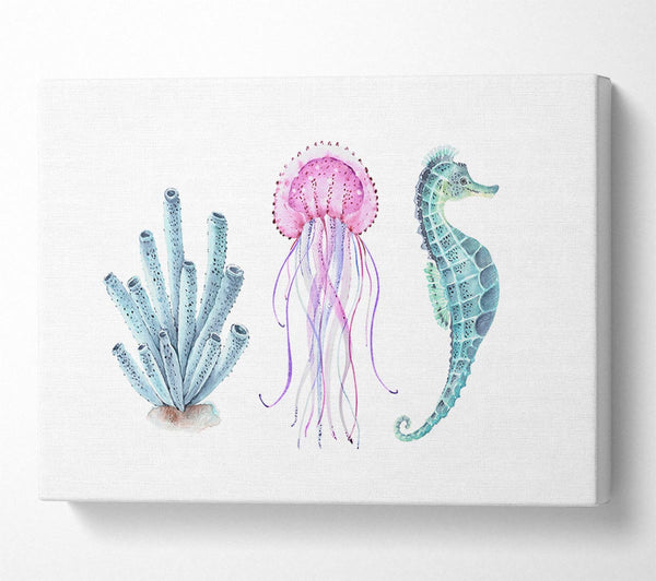  A Canvas Print of Seahorse Watercolour Canvas Print