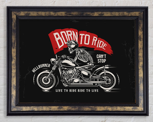 Born To Ride Framed Print