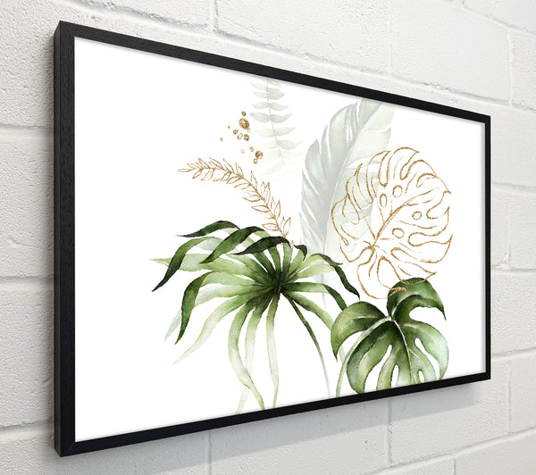 Beautiful Cheese Plant