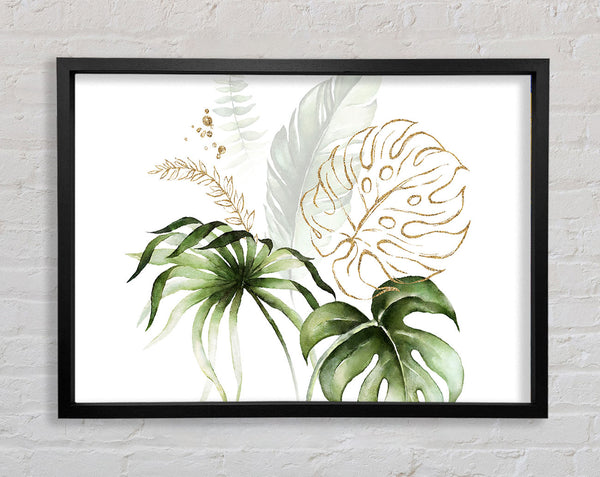 Beautiful Cheese Plant Framed Print