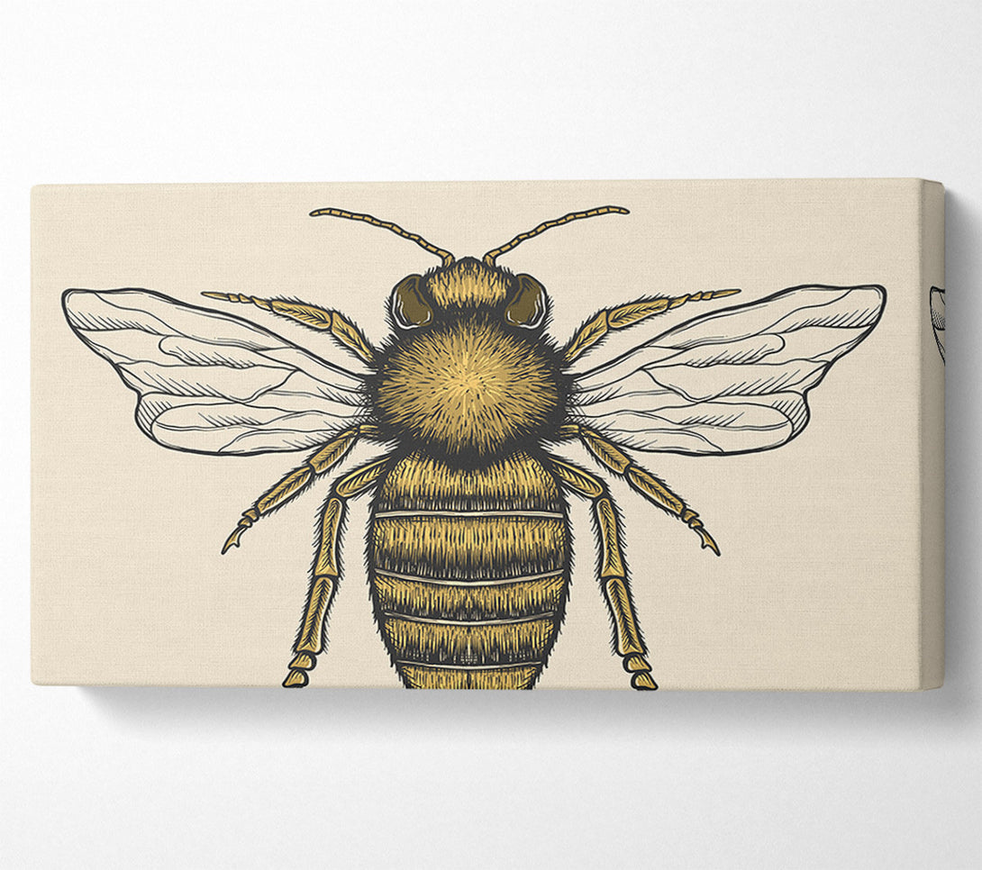  A Canvas Print of The Lovely Honey Bee Canvas Wall Art