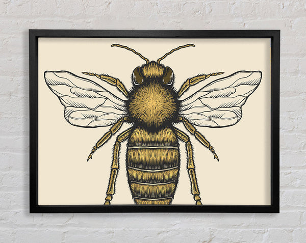 The Lovely Honey Bee Framed Print
