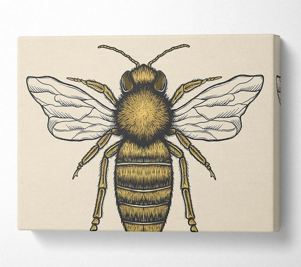  A Canvas Print of The Lovely Honey Bee Canvas Wall Art