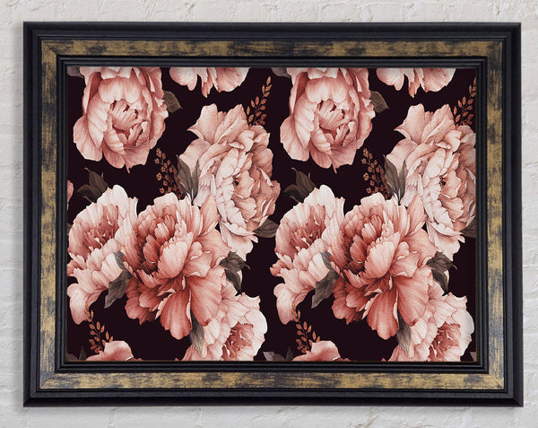 Pink Carnation Beauty Framed Print