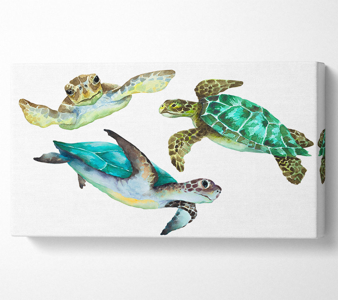  A Canvas Print of Seaturtle Love Canvas Print