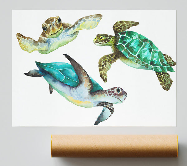Seaturtle Love Poster