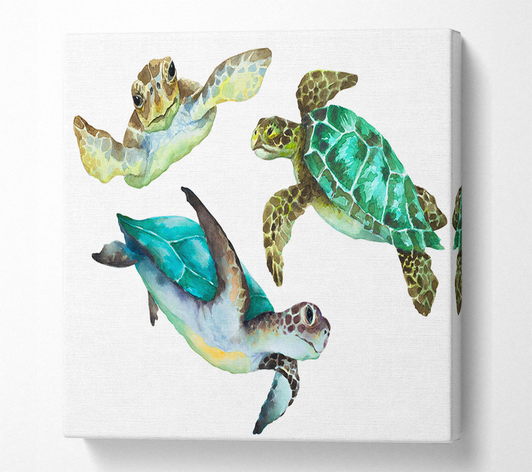  A Canvas Print of Seaturtle Love Canvas Print