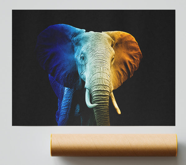Tri Coloured Elephant Print