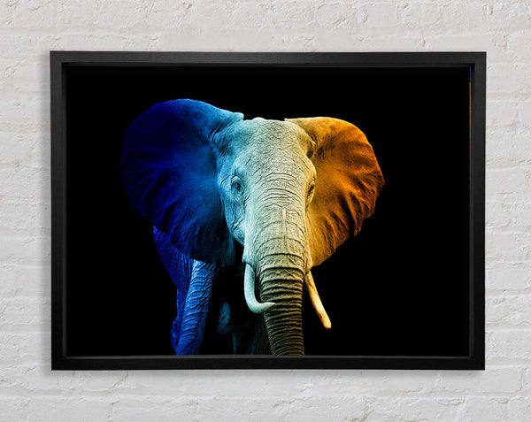 Tri Coloured Elephant Framed Print