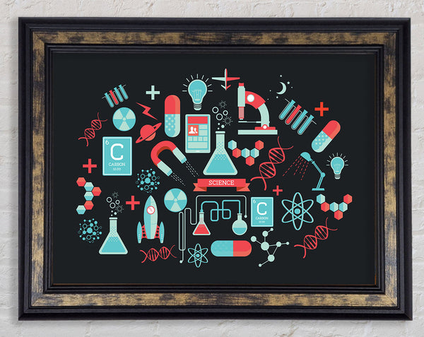 The Scientist Framed Print