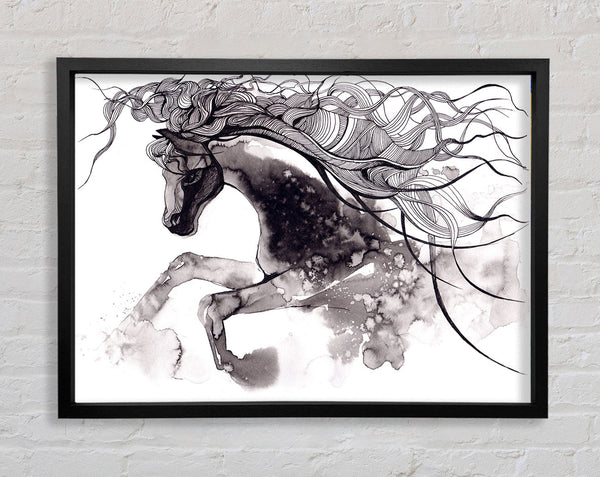 Long Haired Horse Framed Print