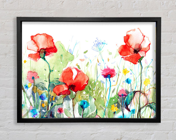 Poppies And Mixed Flowers Framed Print