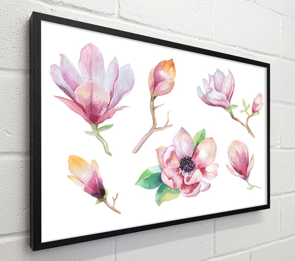 A Selection Of Watercolour Flowers