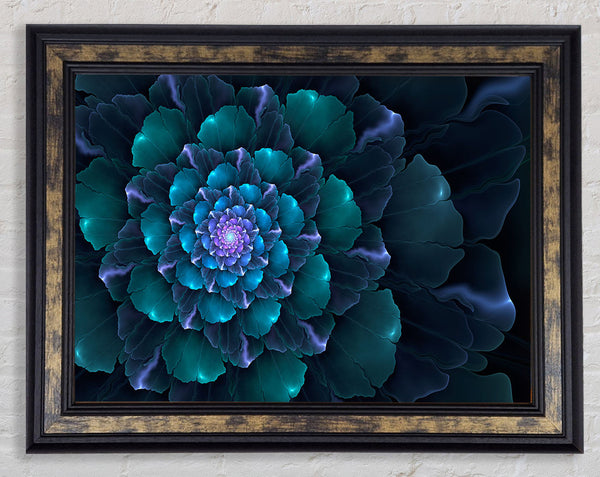 Spiral Into The Succulent Cactus Framed Print