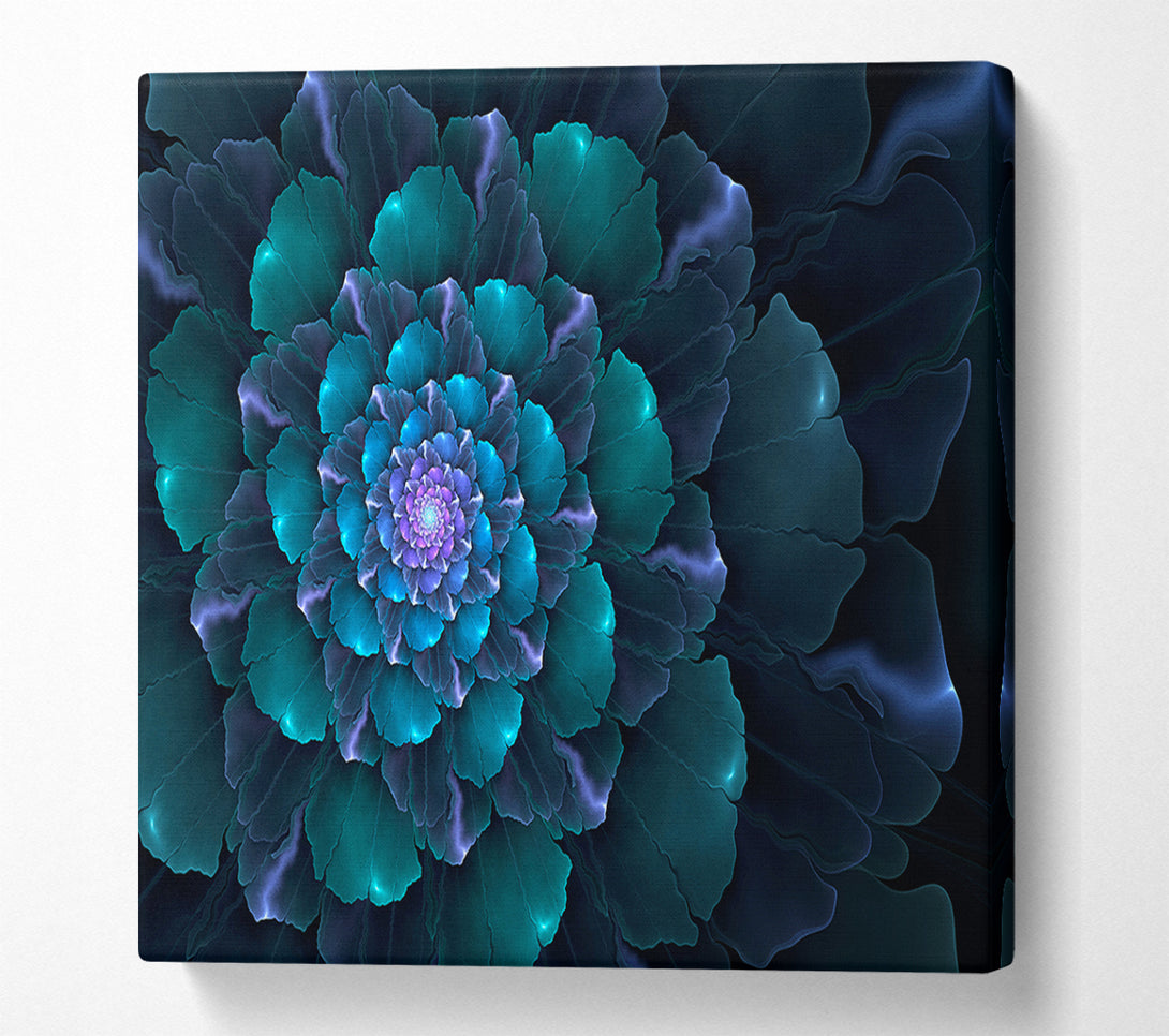  A Canvas Print of Spiral Into The Succulent Cactus Canvas Print