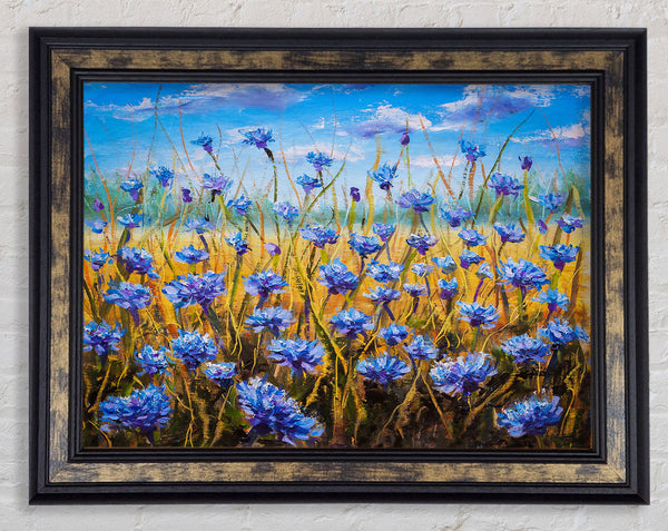 Tiny Blue Flowers In The Field Framed Print