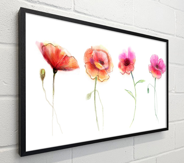 Four Pretty Flowers