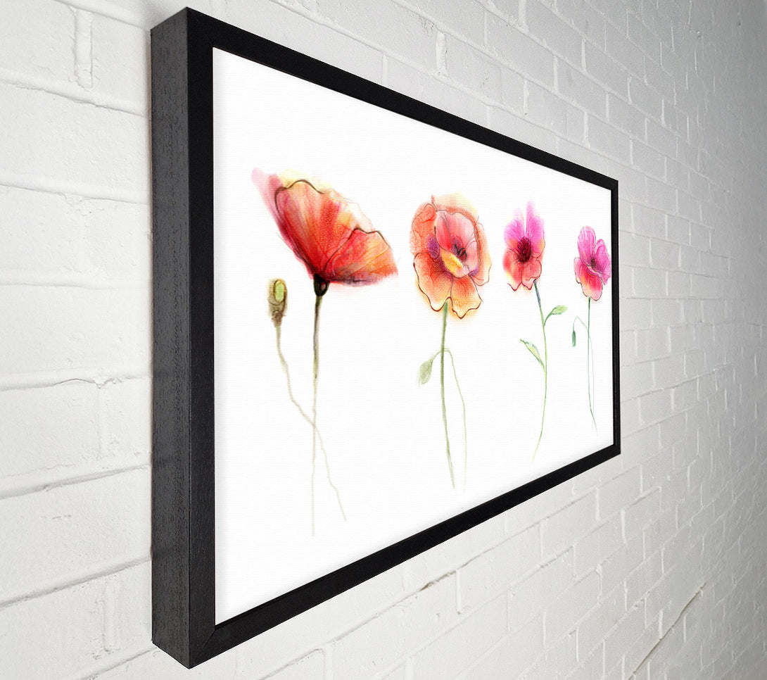 A Canvas Print of Four Pretty Flowers Canvas Art