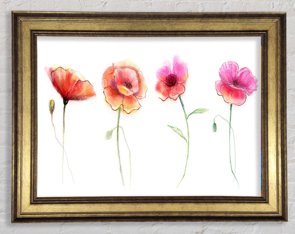 Four Pretty Flowers Framed Print