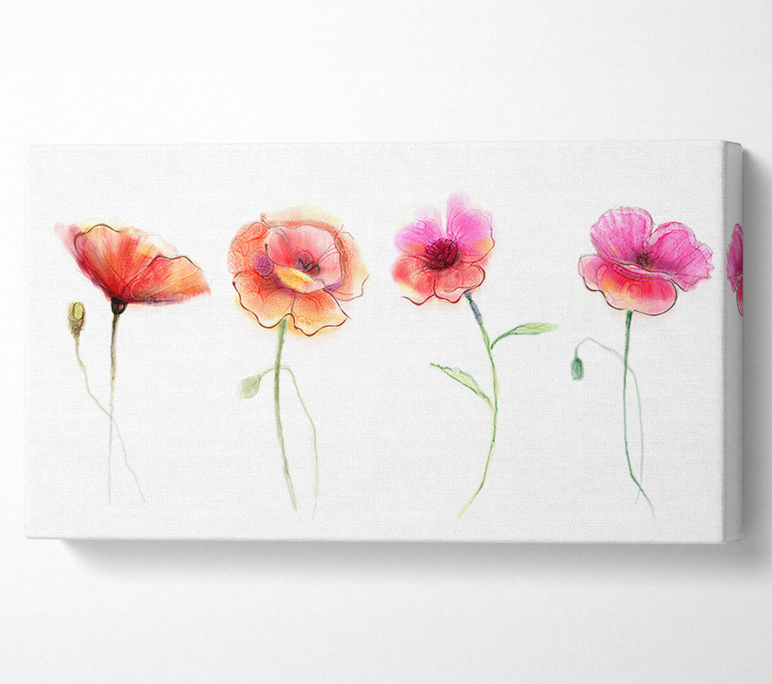  A Canvas Print of Four Pretty Flowers Canvas Art