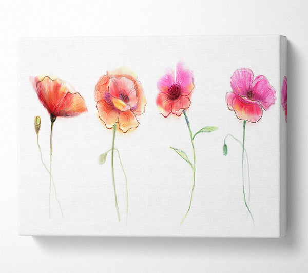  A Canvas Print of Four Pretty Flowers Canvas Art