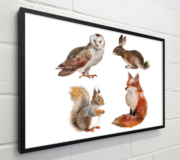 Animals Of The Woodland