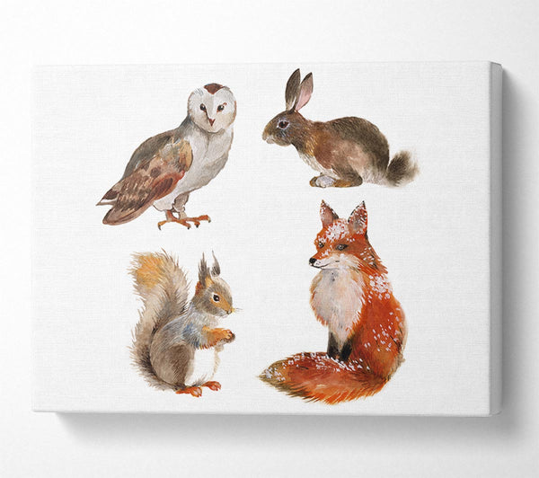  A Canvas Print of Animals Of The Woodland Canvas Art