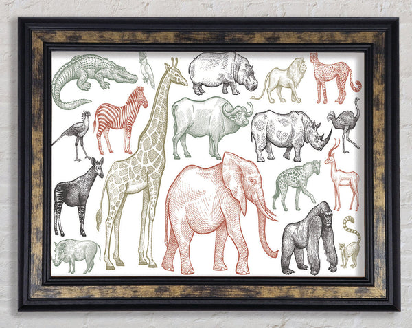 The Animal Kingdom Sketch Framed Print