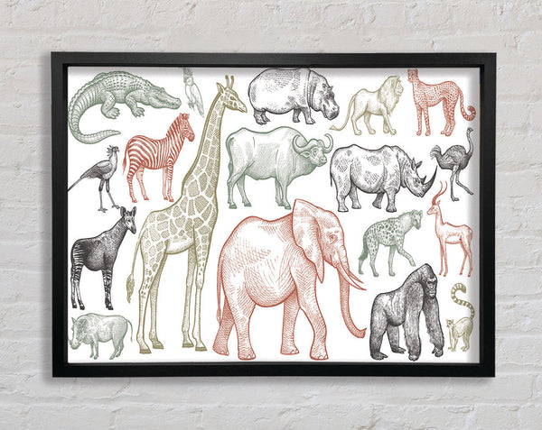 The Animal Kingdom Sketch Framed Print