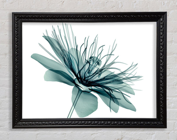 Green Flower Opens Framed Print