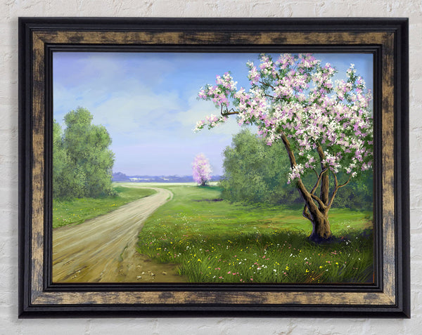The Road Through The Blossom Framed Print