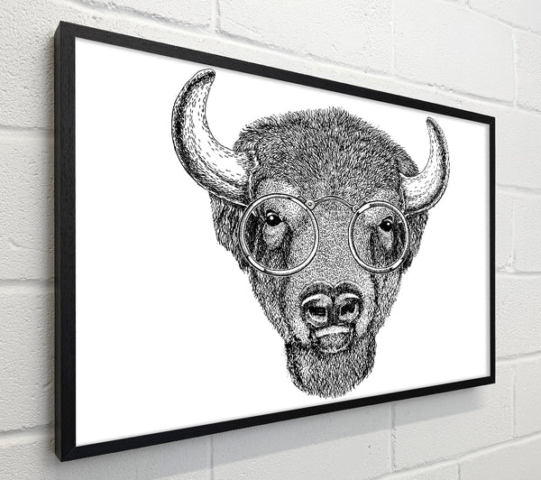 Glasses On A Bison
