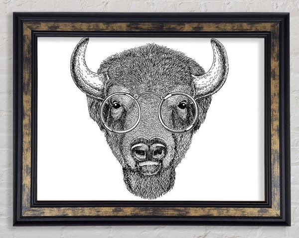 Glasses On A Bison Framed Print