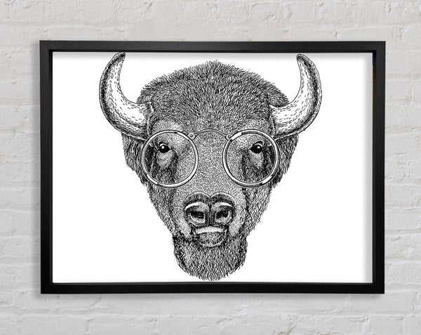 Glasses On A Bison Framed Print
