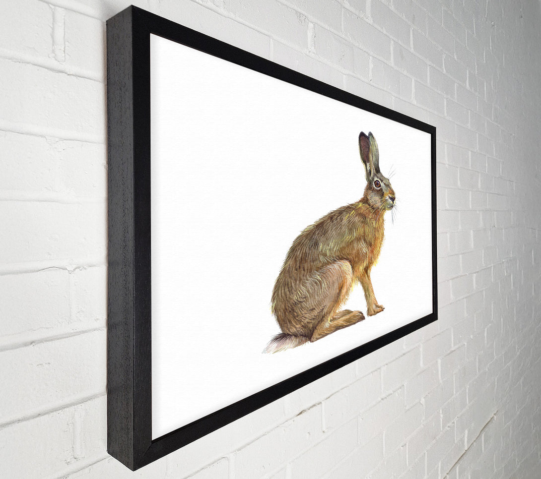  A Canvas Print of The Hare Alone Canvas Wall Art