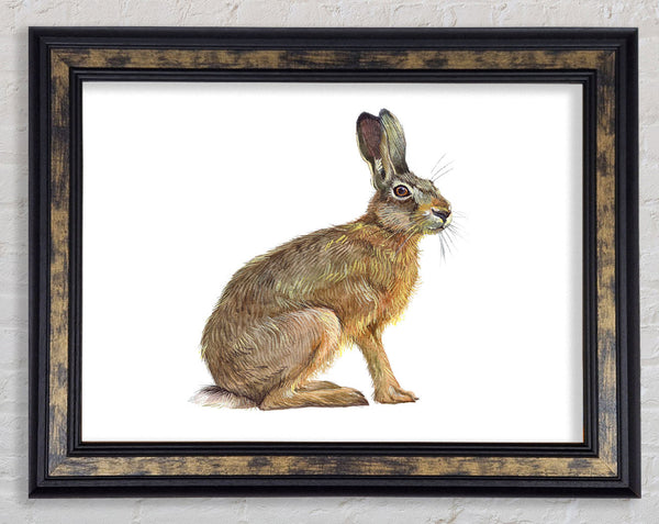 The Hare Alone Framed Print
