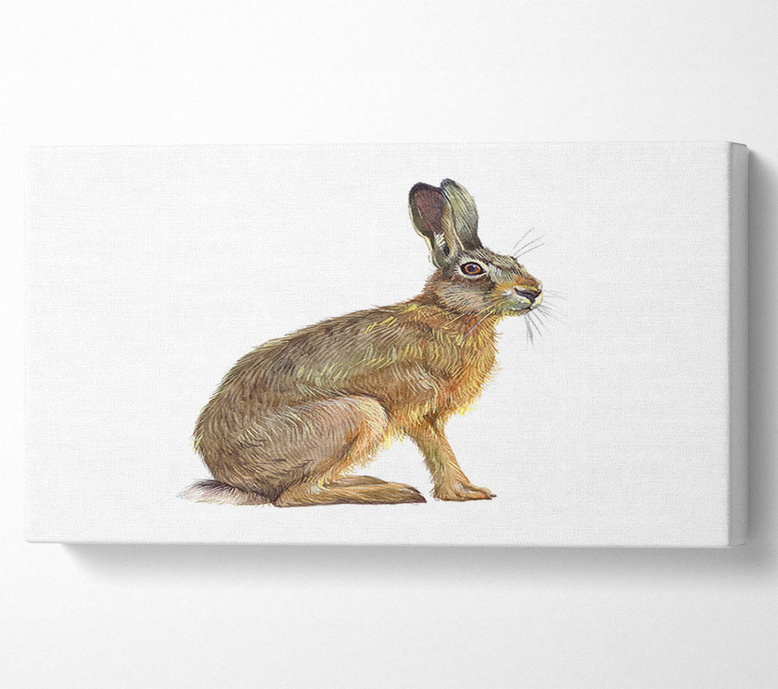  A Canvas Print of The Hare Alone Canvas Wall Art