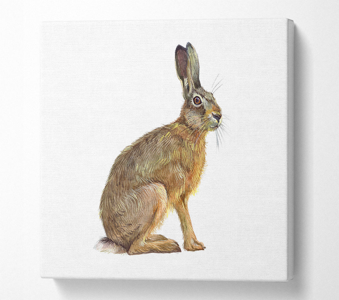  A Canvas Print of The Hare Alone Canvas Wall Art