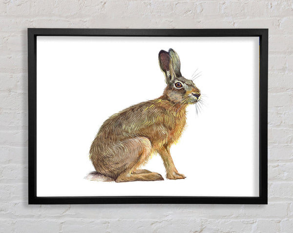 The Hare Alone Framed Print