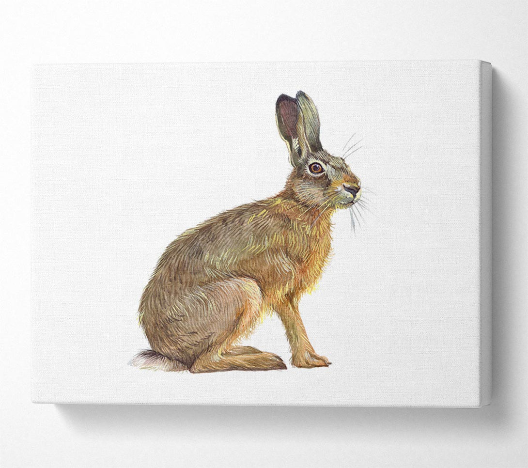  A Canvas Print of The Hare Alone Canvas Wall Art