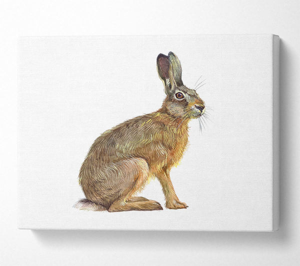  A Canvas Print of The Hare Alone Canvas Wall Art