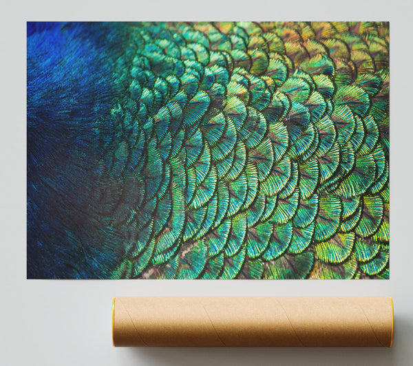 Closer To The Feathers Poster