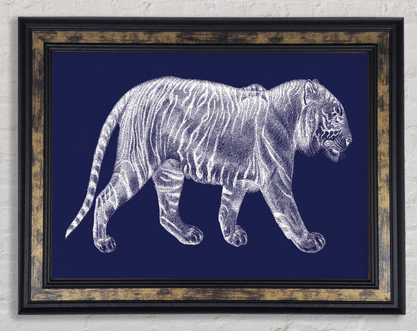 The X Ray Tiger Framed Print