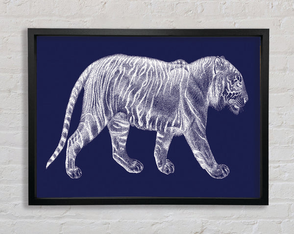 The X Ray Tiger Framed Print